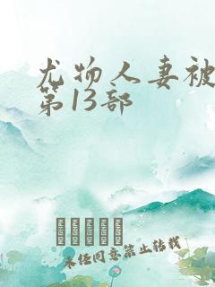 尤物人妻被征服第13部