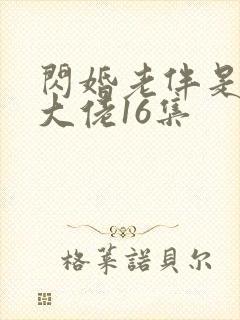 闪婚老伴是豪门大佬16集