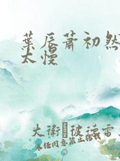 叶辰萧初然更新太慢