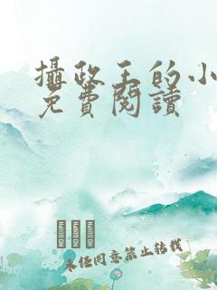 摄政王的小狼妃免费阅读