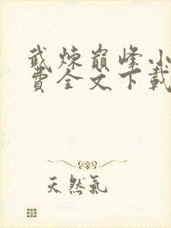 武炼巅峰小说免费全文下载