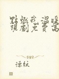 点燃我温暖你电视剧免费高清完整版