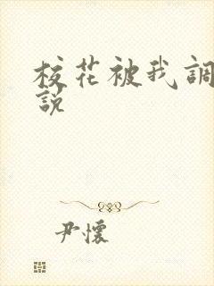 校花被我调教小说