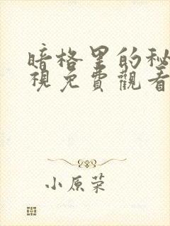 暗格里的秘密电视免费观看全集