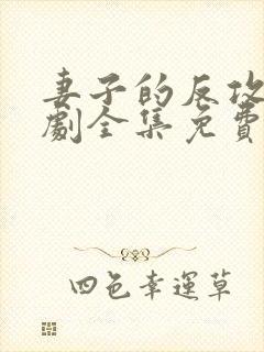 妻子的反攻电视剧全集免费观看