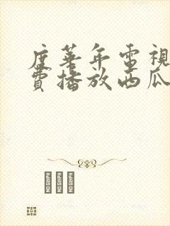 度华年电视剧免费播放西瓜网