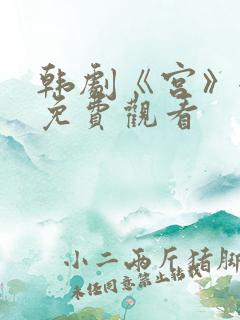 韩剧《宫》全集免费观看