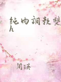 纯肉调教双性高h