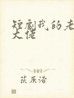 短剧我的老公是大佬