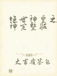 绝世神皇之第一神完整版