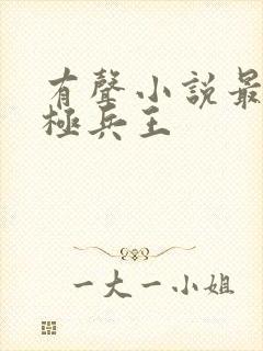 有声小说最强终极兵王