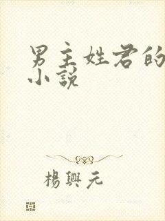 男主姓君的全部小说