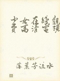 少女在线观看免费高清电视剧韩剧大