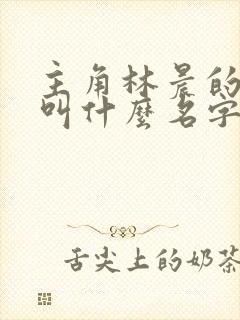 主角林晨的小说叫什么名字