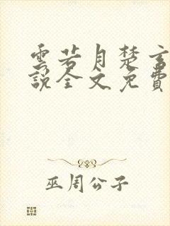 云若月楚玄辰小说全文免费阅读