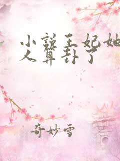 小说王妃她又给人算卦了