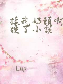 揉我奶头啊嗯摸硬了小说