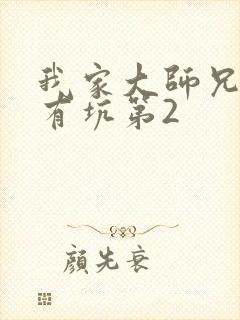 我家大师兄脑子有坑第2