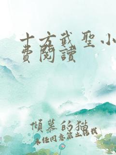 十方武圣小说免费阅读