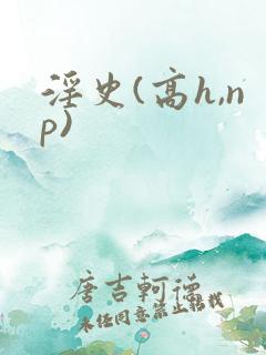 淫史(高h,np)