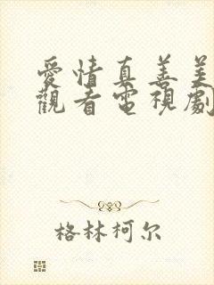 爱情真善美免费观看电视剧