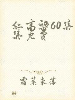 红高粱60集全集免费