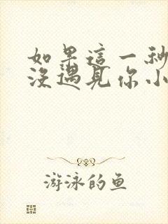 如果这一秒,我没遇见你小说