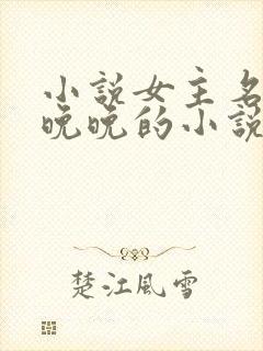 小说女主名叫林晚晚的小说