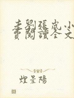 老刘张岚小说免费阅读全文最新章节