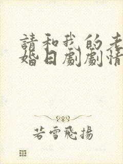 请和我的老公结婚日剧剧情