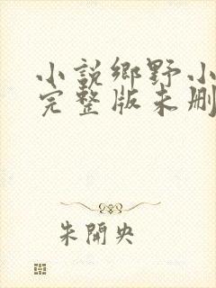 小说乡野小傻医完整版未删减小说