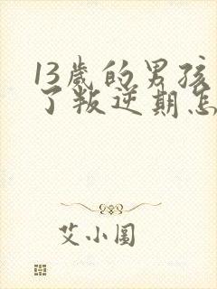 13岁的男孩到了叛逆期怎麽教