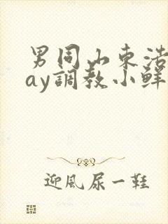 男同山东浩浩gay调教小鲜肉