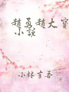 赵勇赵大宝苏媚 小说