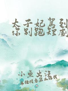 太子妃驾到总裁你别跑短剧全集