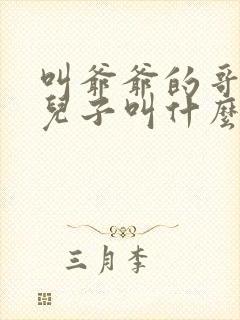 叫爷爷的哥哥的儿子叫什么