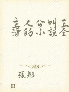 主人公叫王东唐潇的小说全文免费阅读笔趣阁