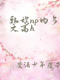 韩娱np肉多荤文高h