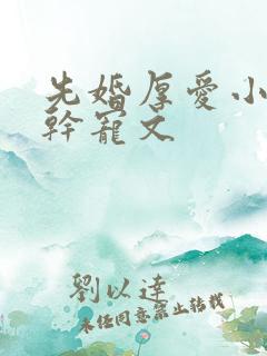 先婚厚爱小说高干宠文