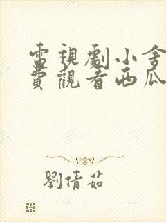 电视剧小舍得免费观看西瓜