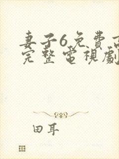 妻子6免费高清完整电视剧情