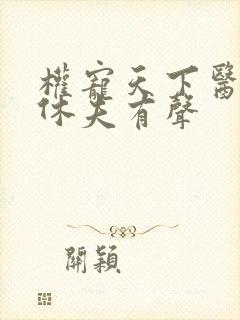 权宠天下医妃要休夫有声