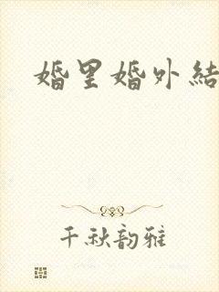 婚里婚外结局