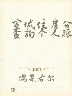 宣城住房公积金查询个人账户查询