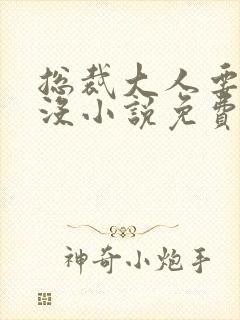 总裁大人要够了没小说免费阅读全文