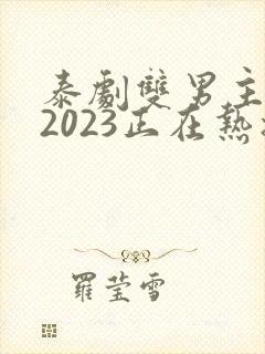 泰剧双男主推荐2023正在热播的剧