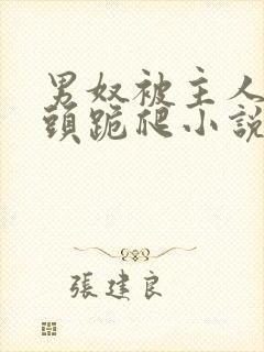 男奴被主人拽奶头跪爬小说