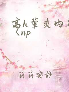 高h荤爽肉欲文〈np