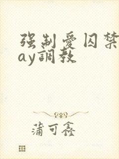 强制爱囚禁play调教