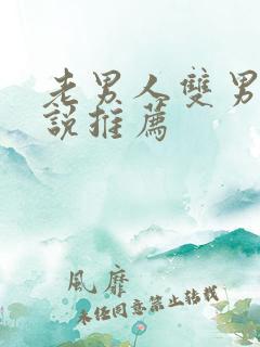 老男人双男主小说推荐